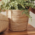 Cane Rattan Mini Round Baskets, Set Of 3 - View 5
