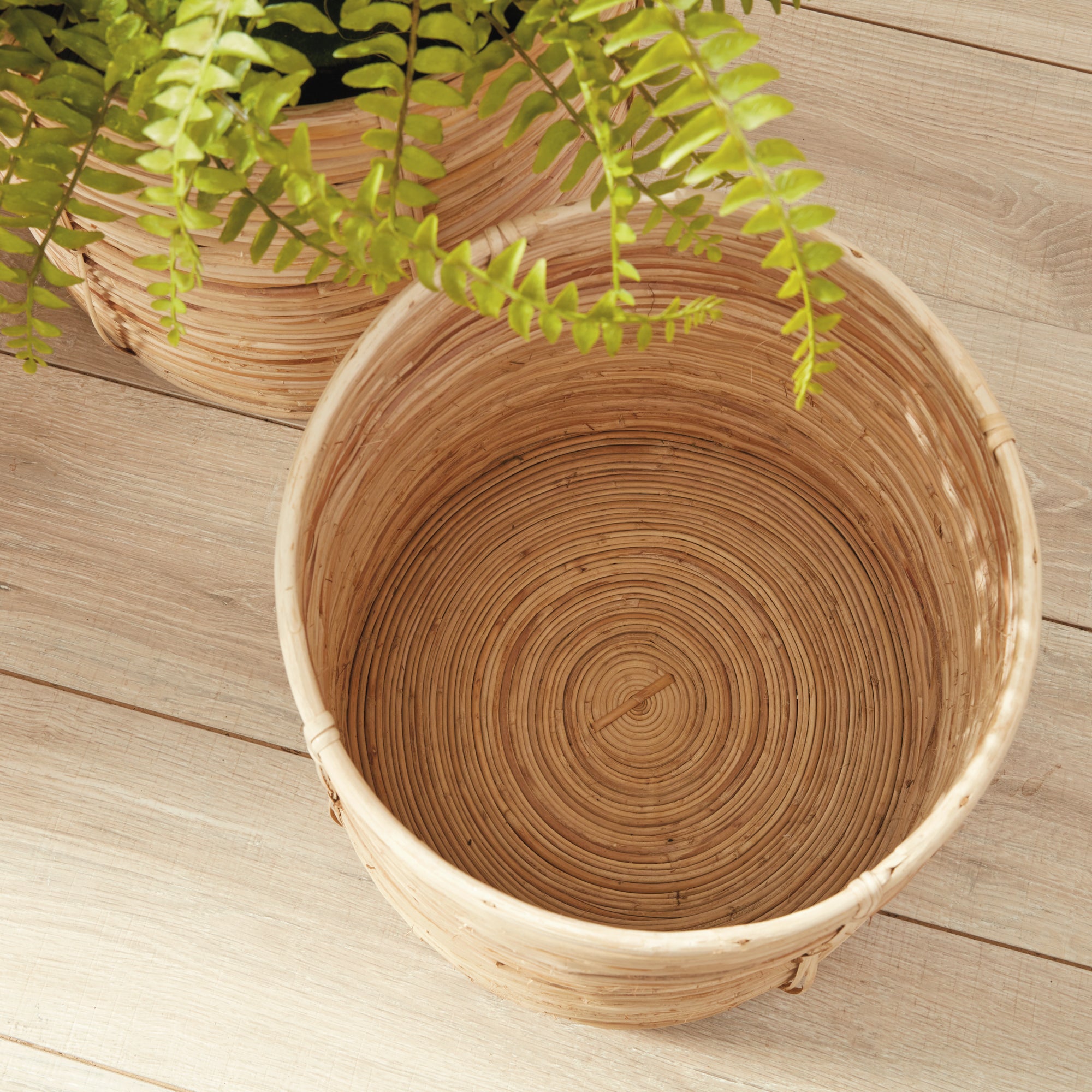 CANE RATTAN ROUND TREE BASKETS, SET OF 2 - view 4