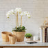 Cane Rattan Mini Round Tapered Baskets, Set Of 3 - View 3