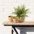 Cane Rattan Mini Round Tapered Baskets, Set Of 3 - View 4