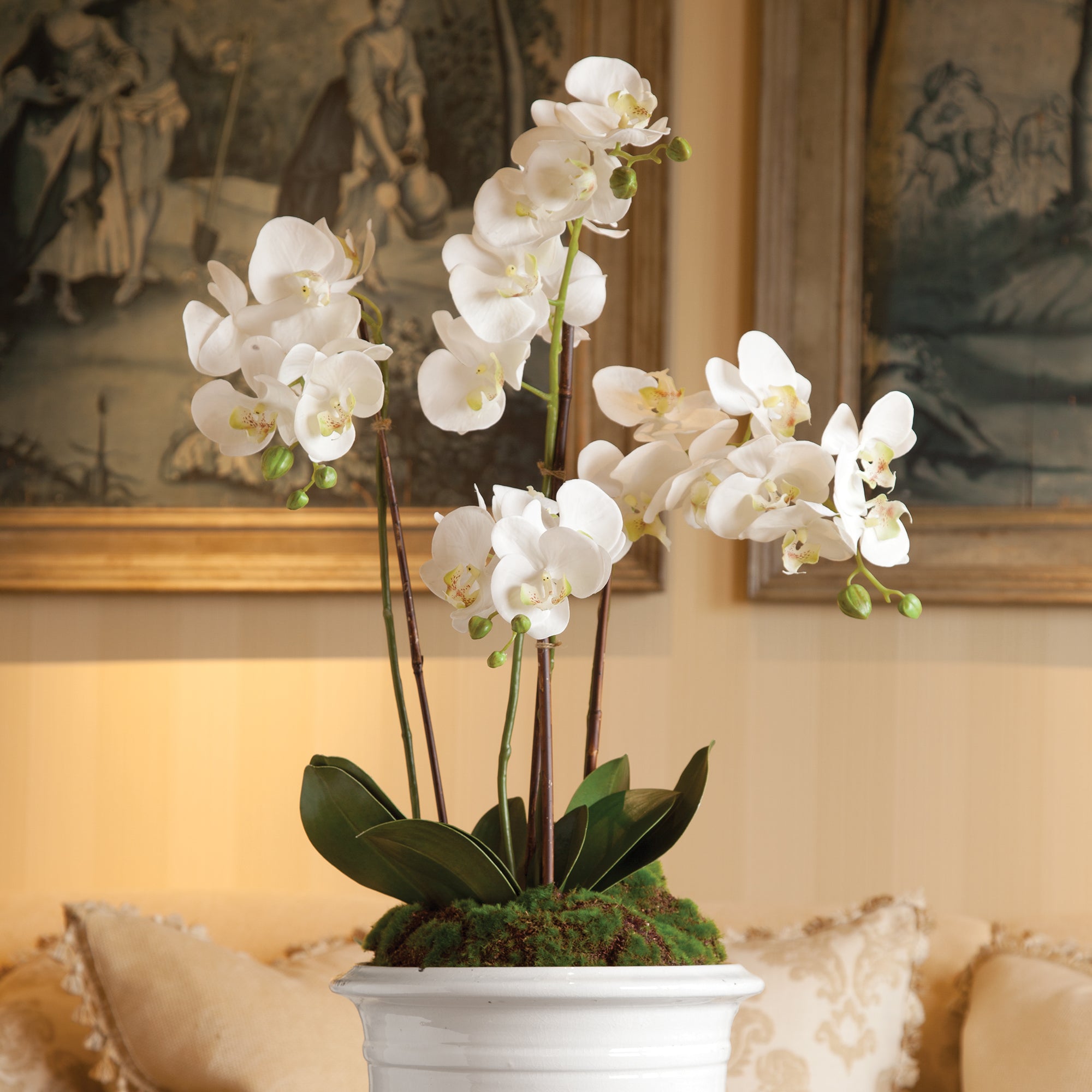 Phalaenopsis Orchid Drop-In 30" - View 2
