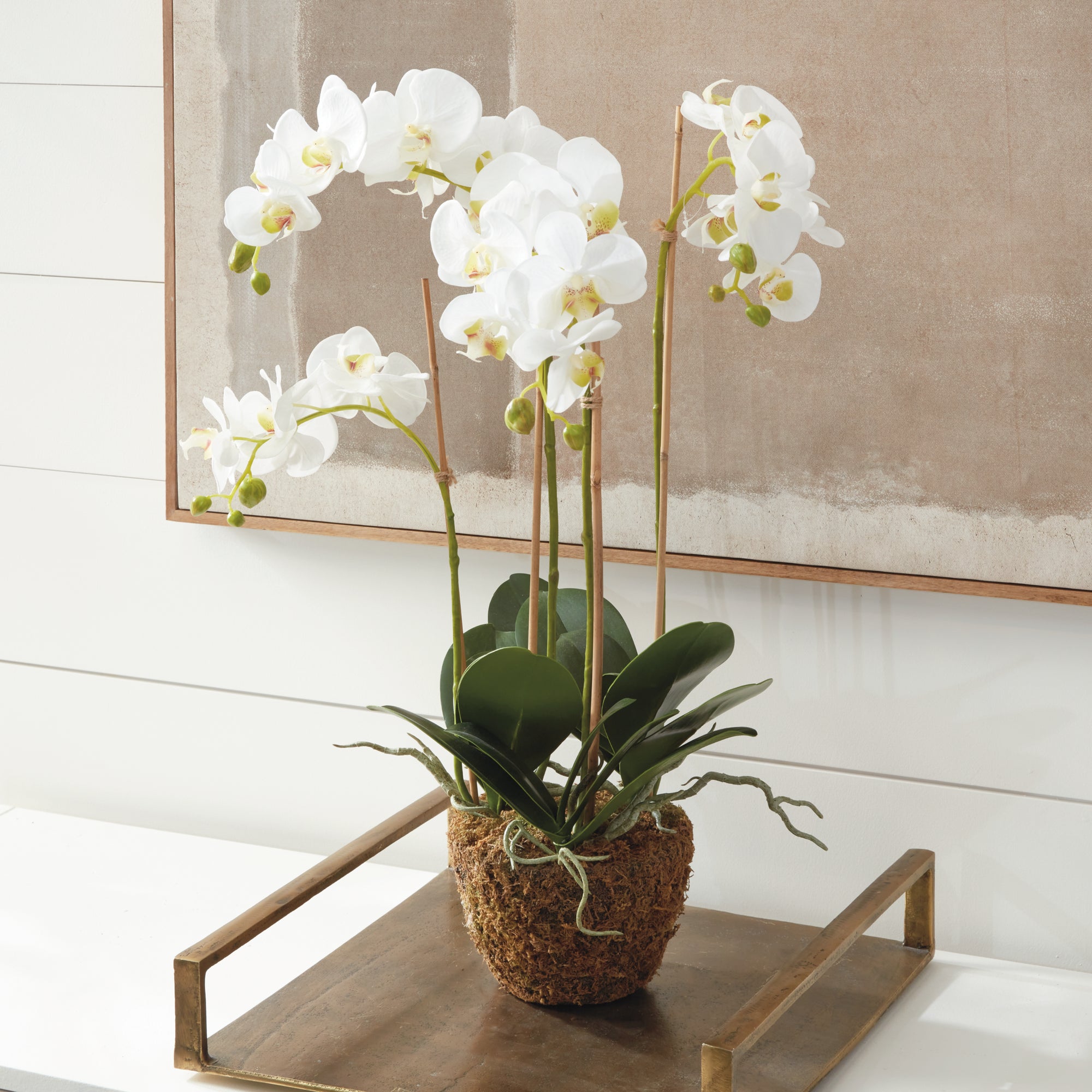 Phalaenopsis Orchid Drop-In 30" - View 6