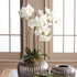 Phalaenopsis Orchid Drop-In 30" - View 5