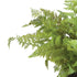 SOFT FERN DROP-IN 10.5" - view 3