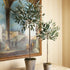 Olive Tree Potted 46" - View 2