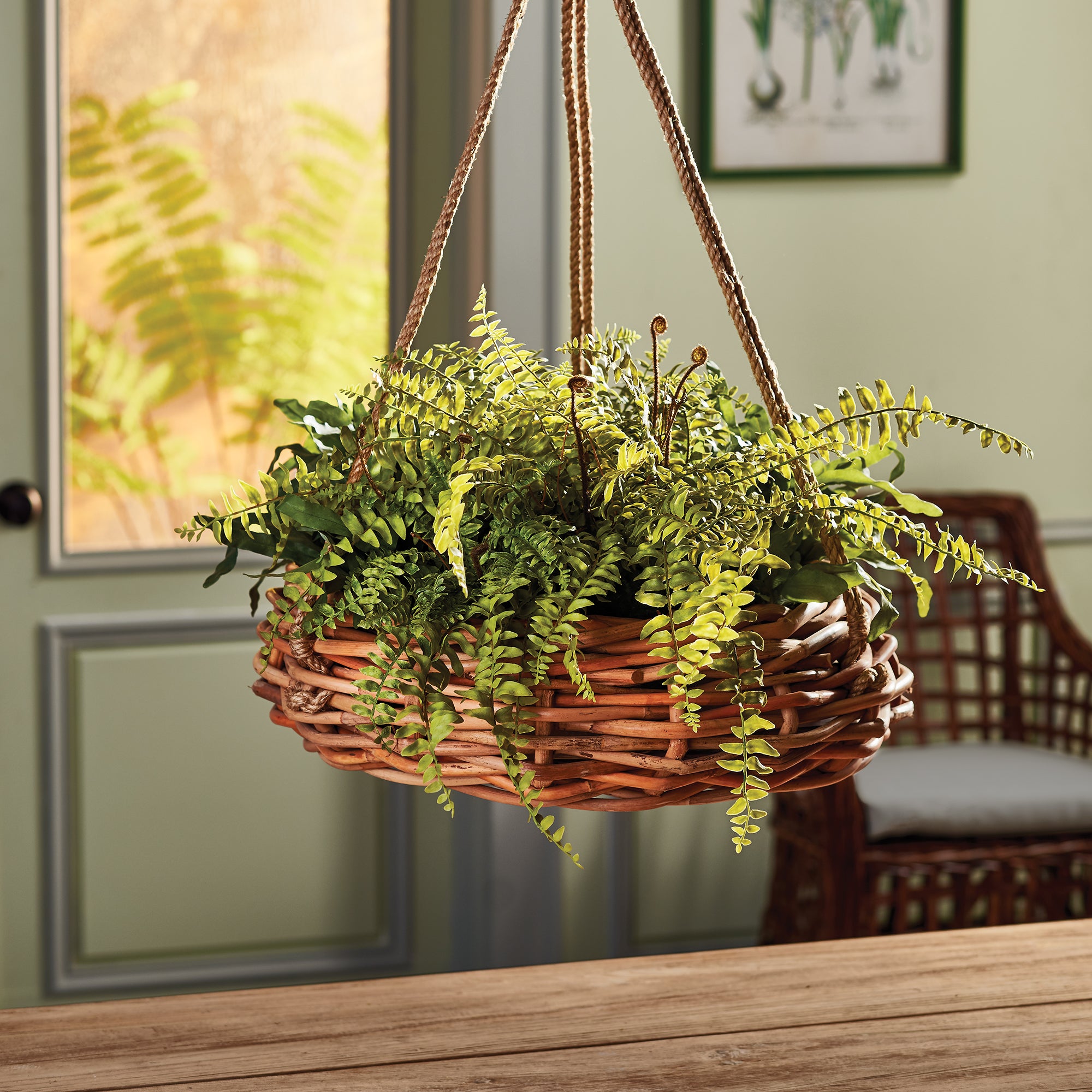 Boston Fern Rustic Drop-In 12" - View 3