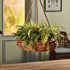 Boston Fern Rustic Drop-In 12" - View 3