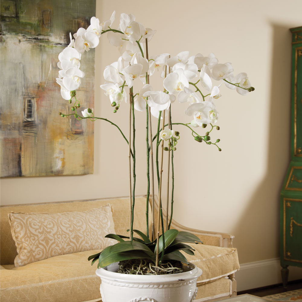 Phalaenopsis Orchid Drop-In 44" - View 2