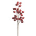 21 Matte Red Berry Pod Spray - A. Dodson's
