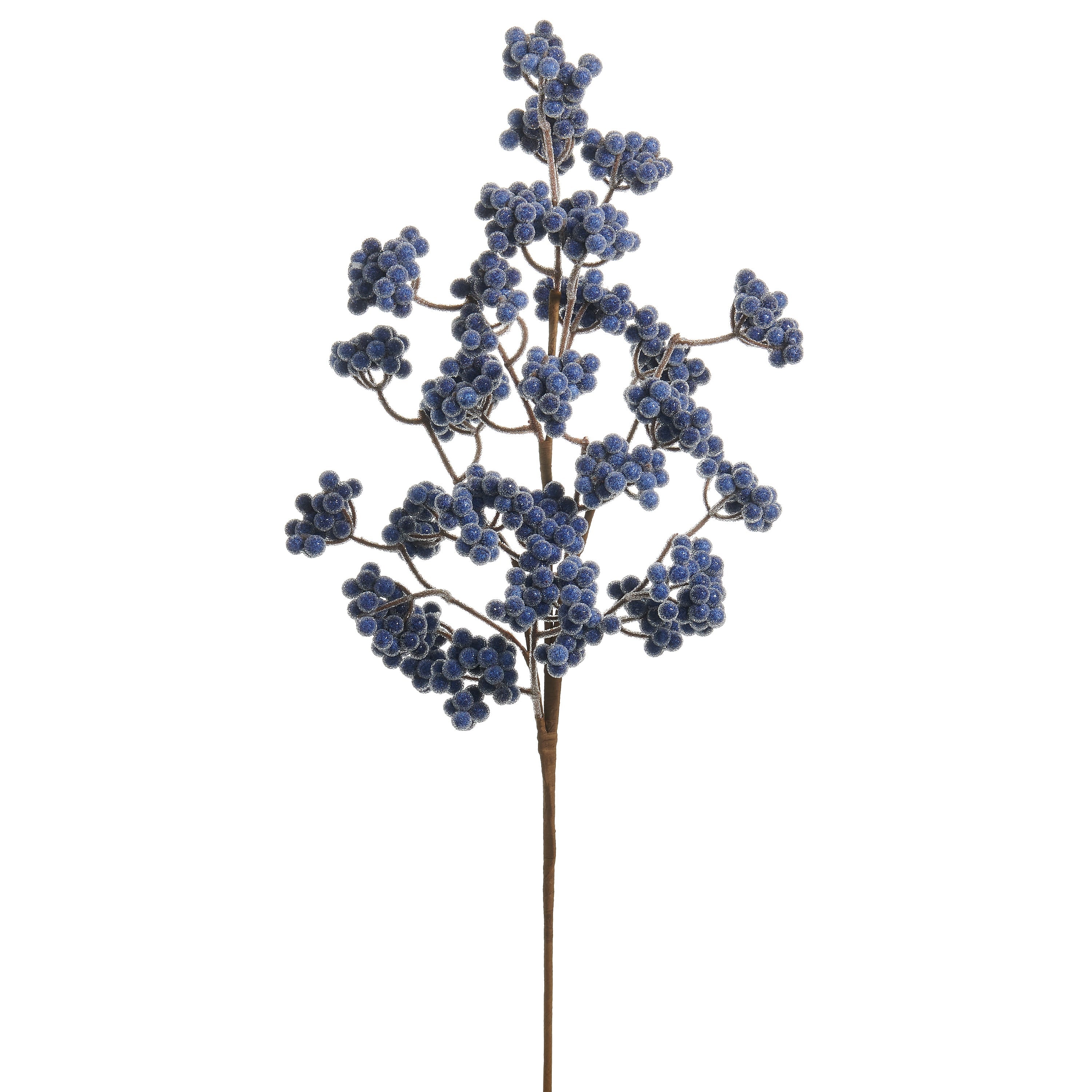 27 Blue Cluster Berry Spray - A. Dodson's