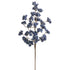 27 Blue Cluster Berry Spray - A. Dodson's