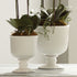 SINCLAIR FOOTED URN SMALL - view 4