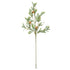 Mistletoe Spray