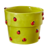 GARDEN LADYBUG PLANTER