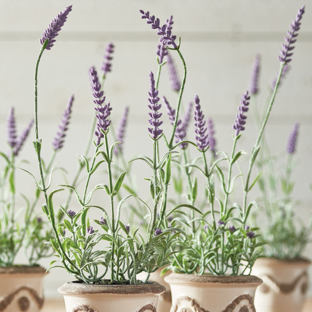 FRENCH LAVENDER DROP-IN 13", SET OF 6 - view 2