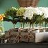 Mini Hydrangea Potted 7", Set Of 12 - View 2