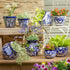 Blue and White Mexican Talavera Planters Assortment