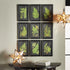 Framed Fern Botanical Prints, Set Of 9 - View 3