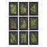 FRAMED FERN BOTANICAL PRINTS, SET OF 9