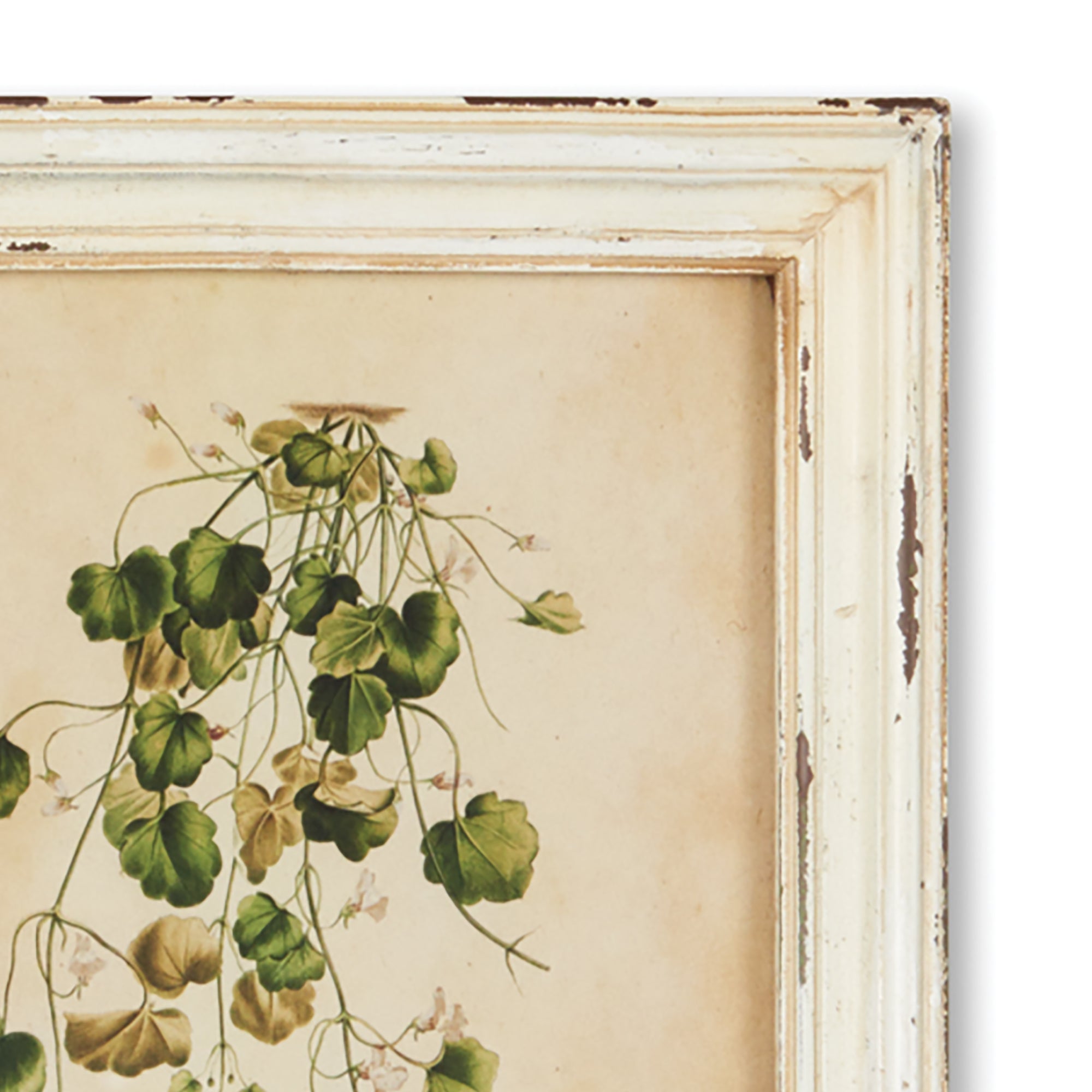 FRAMED WILD FLOWER BOTANICAL PRINTS, SET OF 12 - view 5