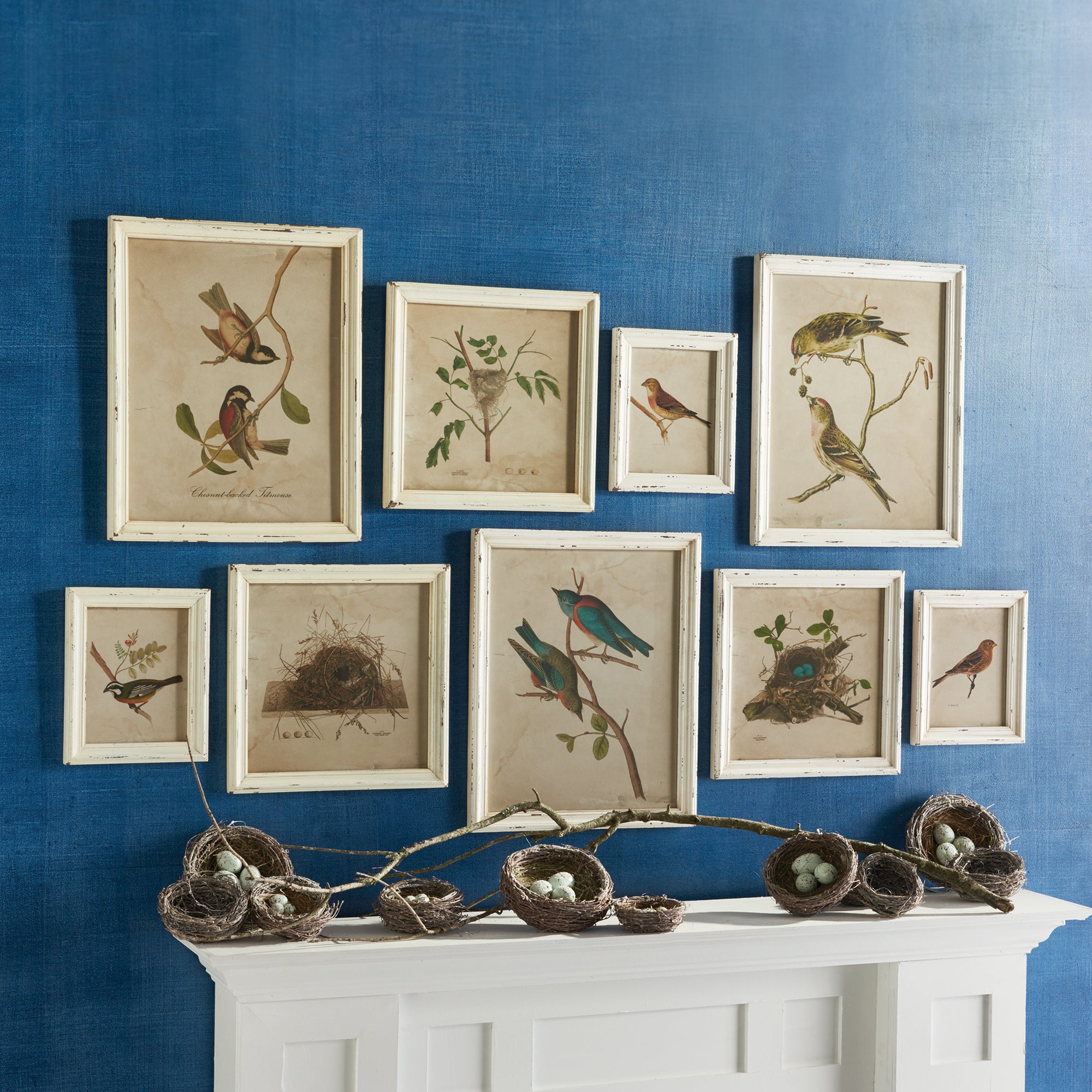 FRAMED AVIARY BIRD & NEST HABITAT PRINTS, SET OF 9 - view 3