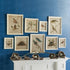FRAMED AVIARY BIRD & NEST HABITAT PRINTS, SET OF 9 - view 3