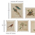 FRAMED AVIARY BIRD & NEST HABITAT PRINTS, SET OF 9 - view 2