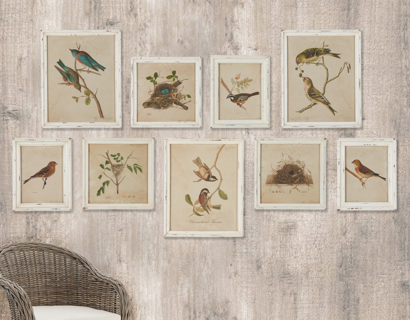 FRAMED AVIARY BIRD & NEST HABITAT PRINTS, SET OF 9 - view 4