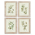 FRAMED OLIVE LEAF BOTANICAL PRINTS, SET OF 4