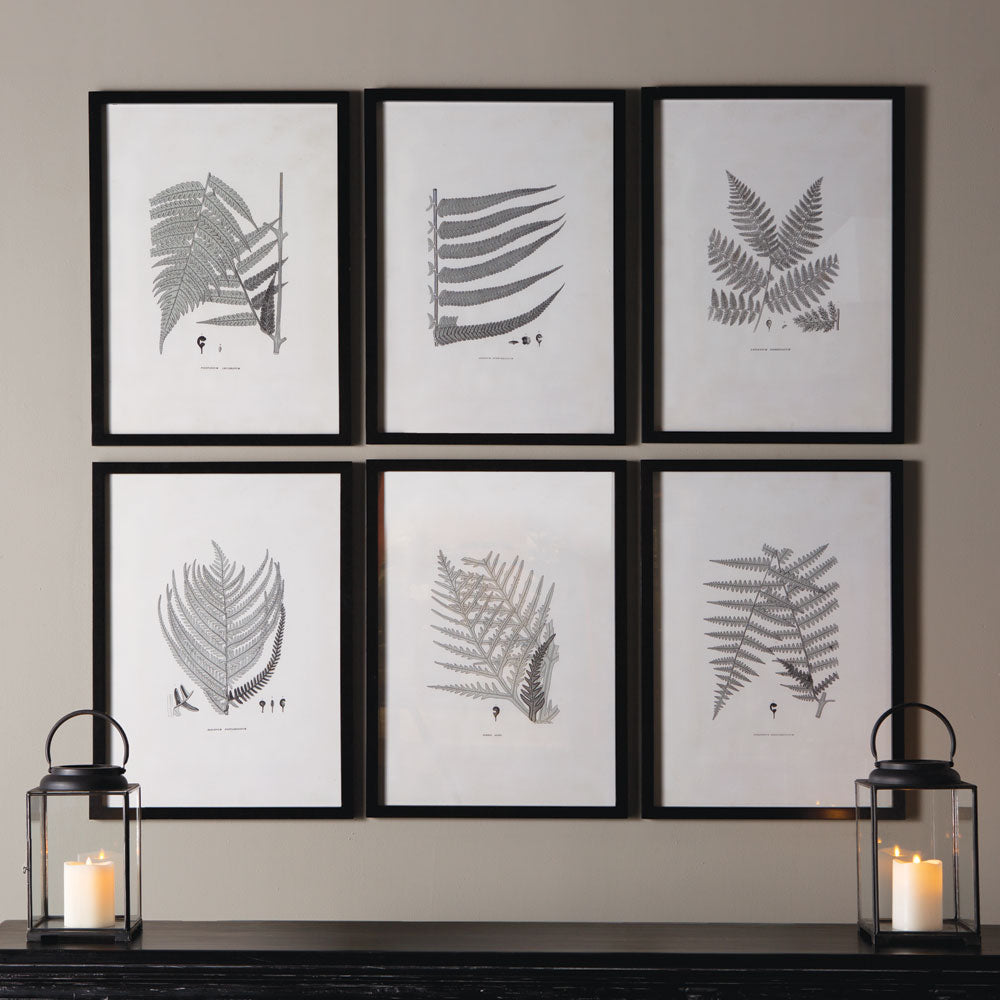FRAMED GRAY-TONE FERN PRINTS, SET OF 6 - view 3