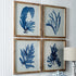FRAMED CORAL WATERCOLOR PRINTS, SET OF 4 - view 3