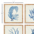FRAMED CORAL WATERCOLOR PRINTS, SET OF 4 - view 2