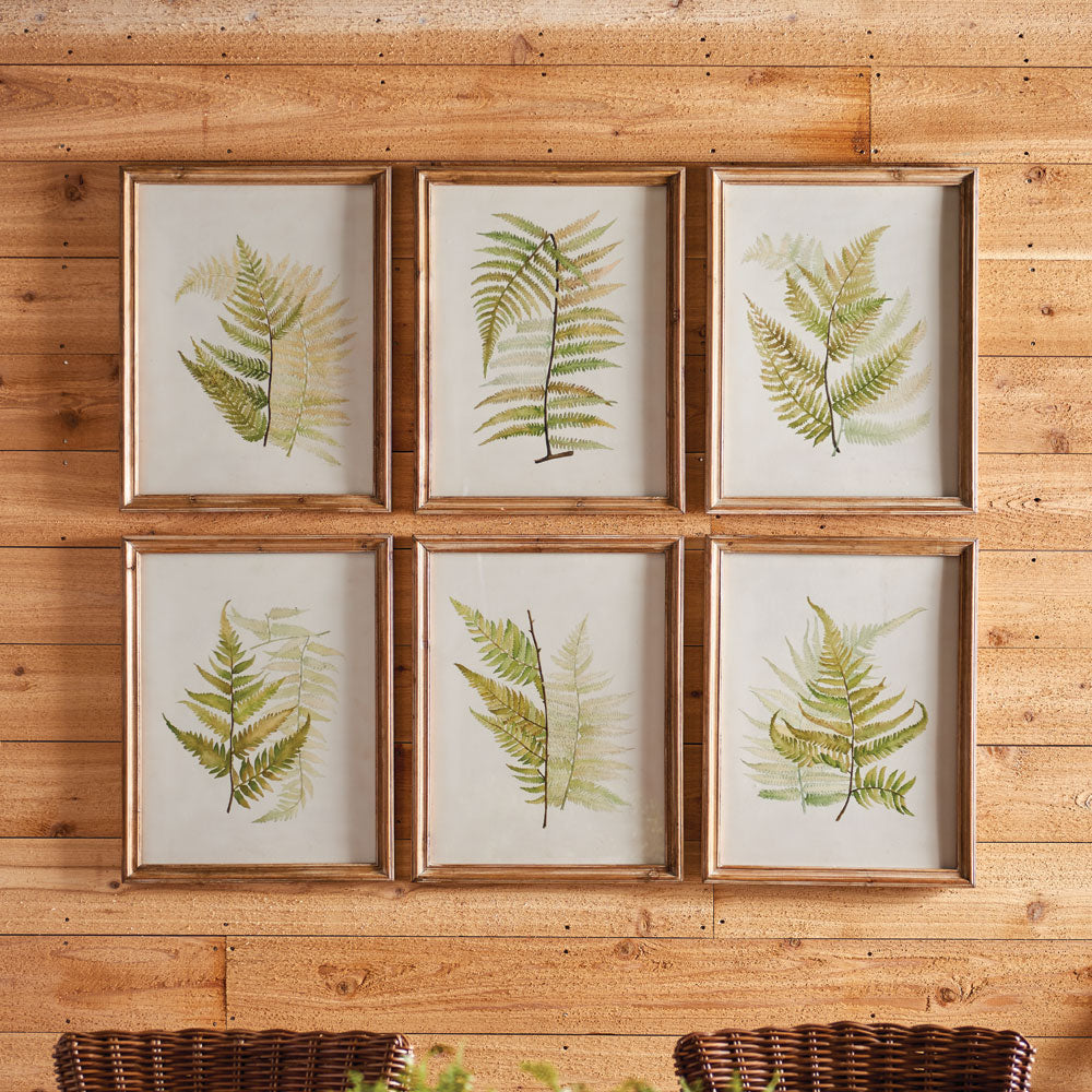 Framed Fern Study, Set Of 6 - View 3