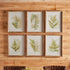 Framed Fern Study, Set Of 6 - View 3