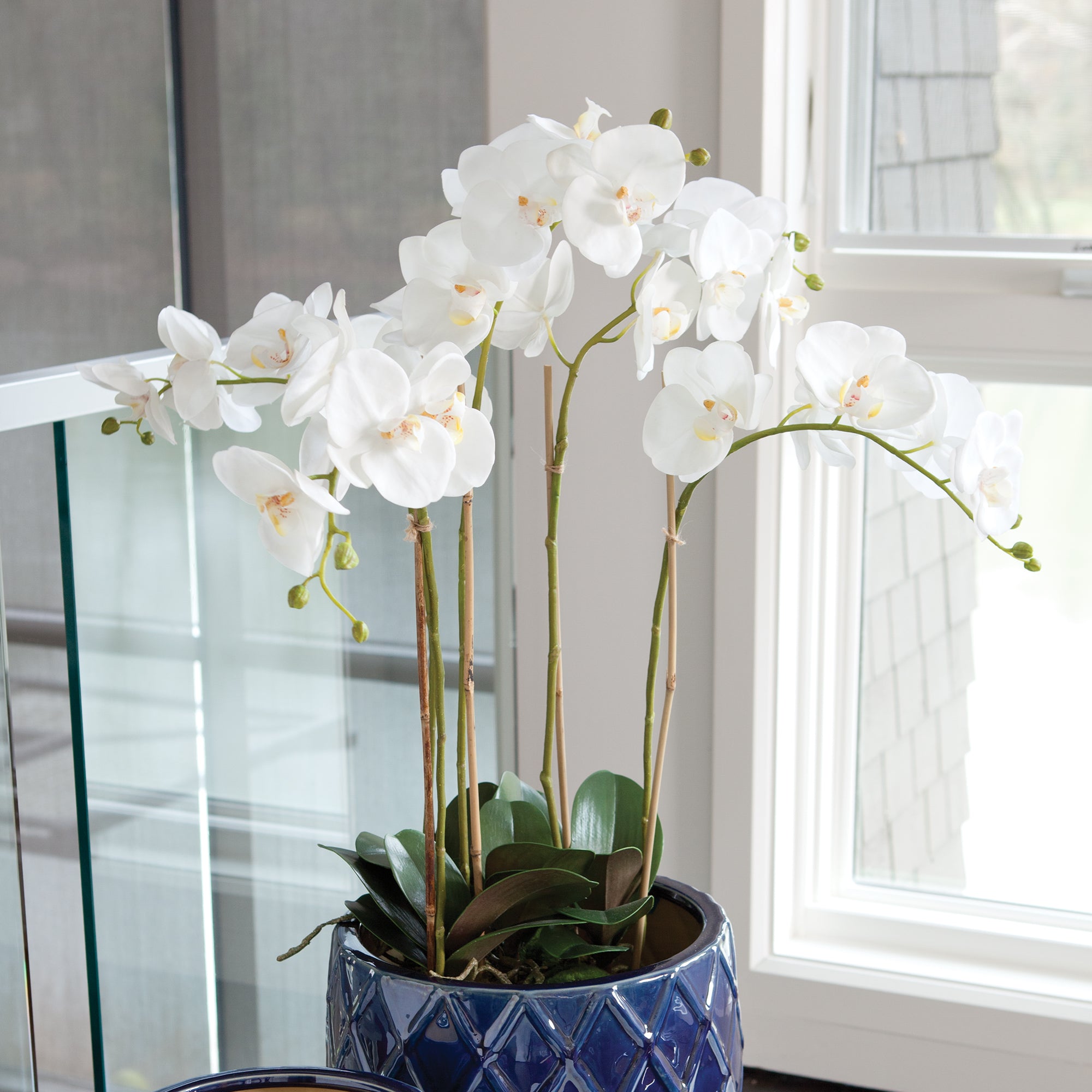 Phalaenopsis Orchid Bowl Drop-In 25" - View 2
