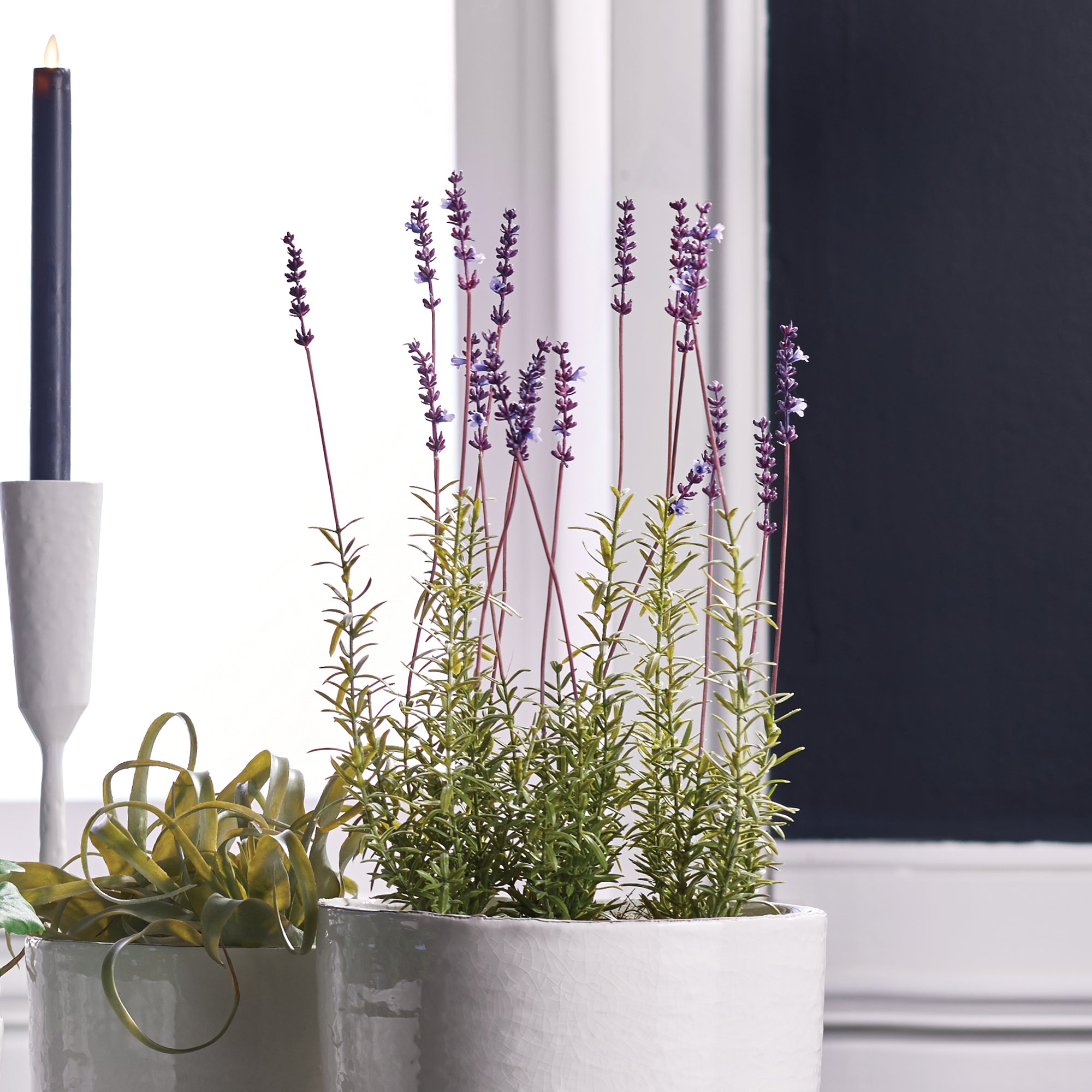 French Lavender Potted 21" - View 2