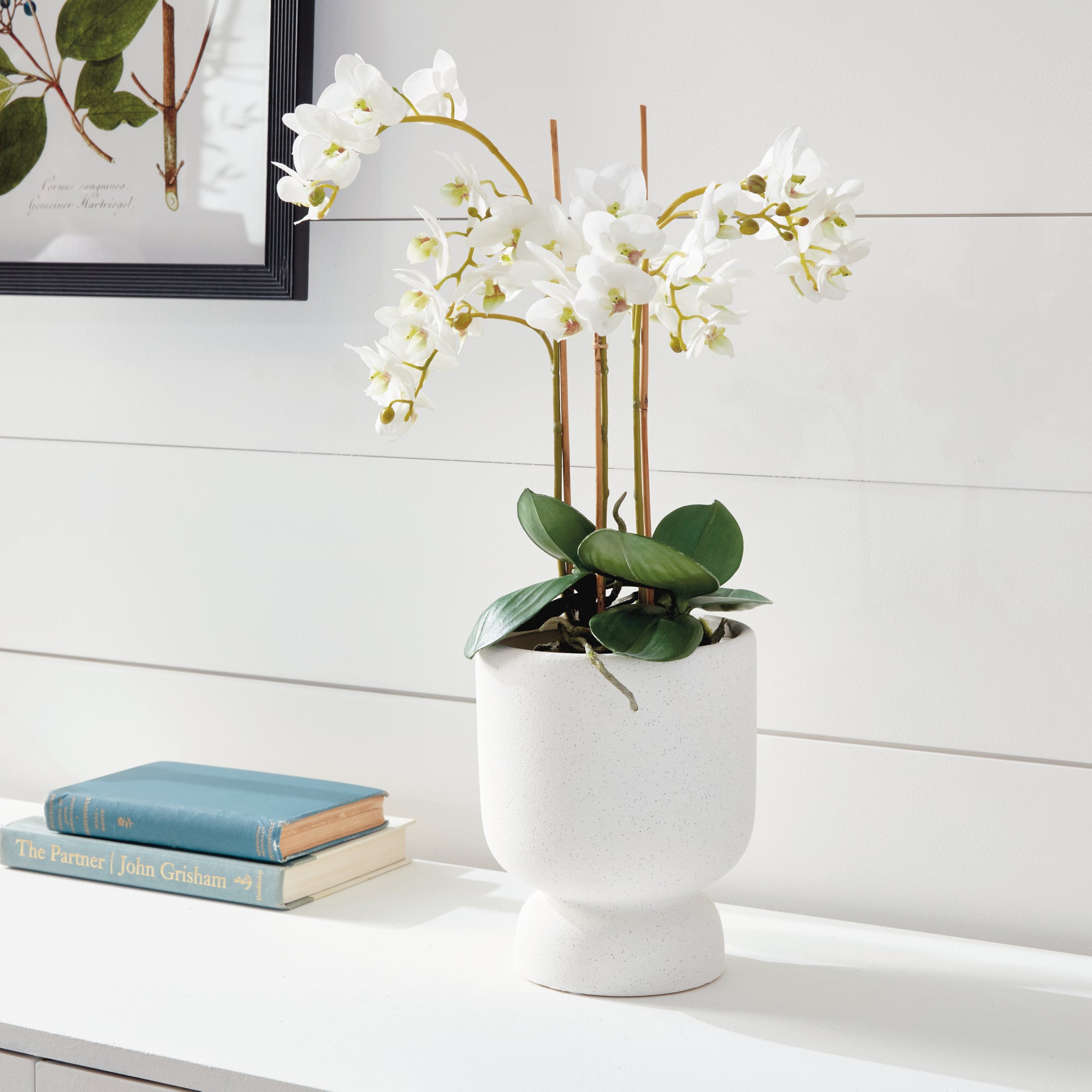 PHALAENOPSIS ORCHID DROP-IN 20" - view 3