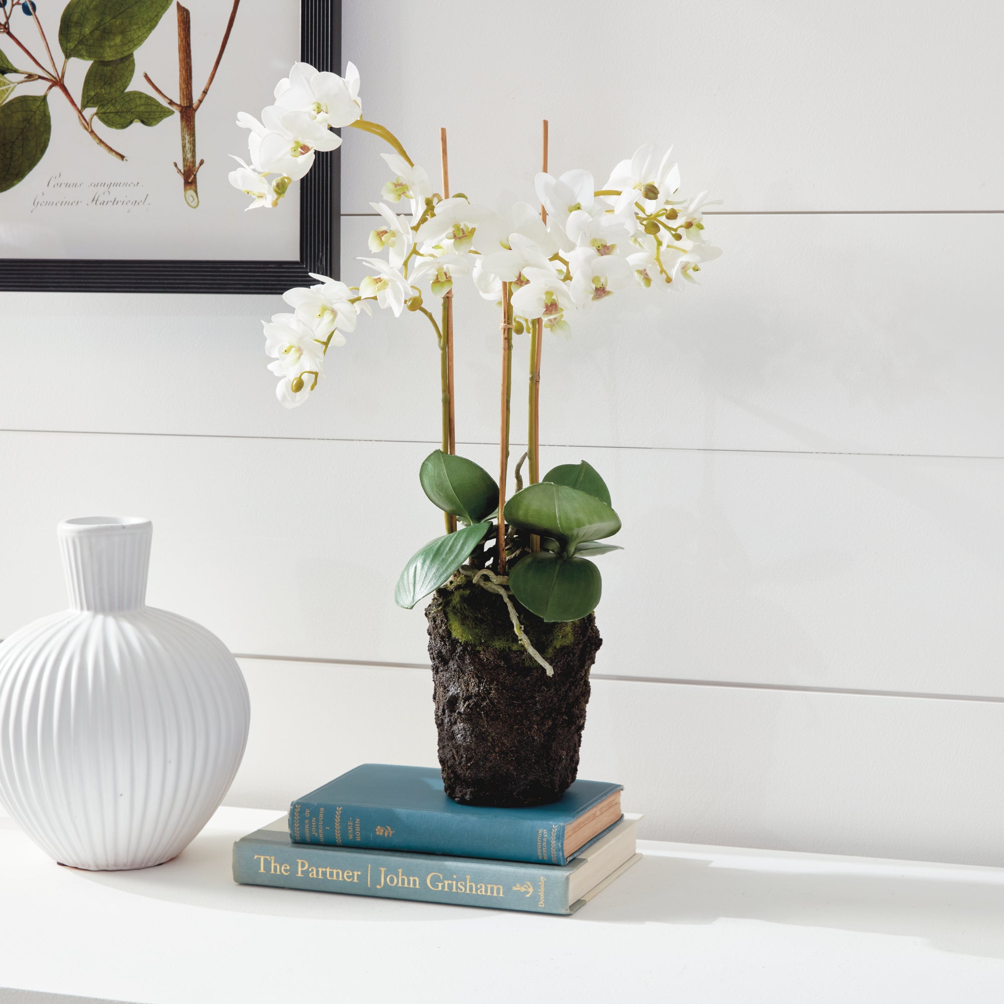 PHALAENOPSIS ORCHID DROP-IN 20" - view 7
