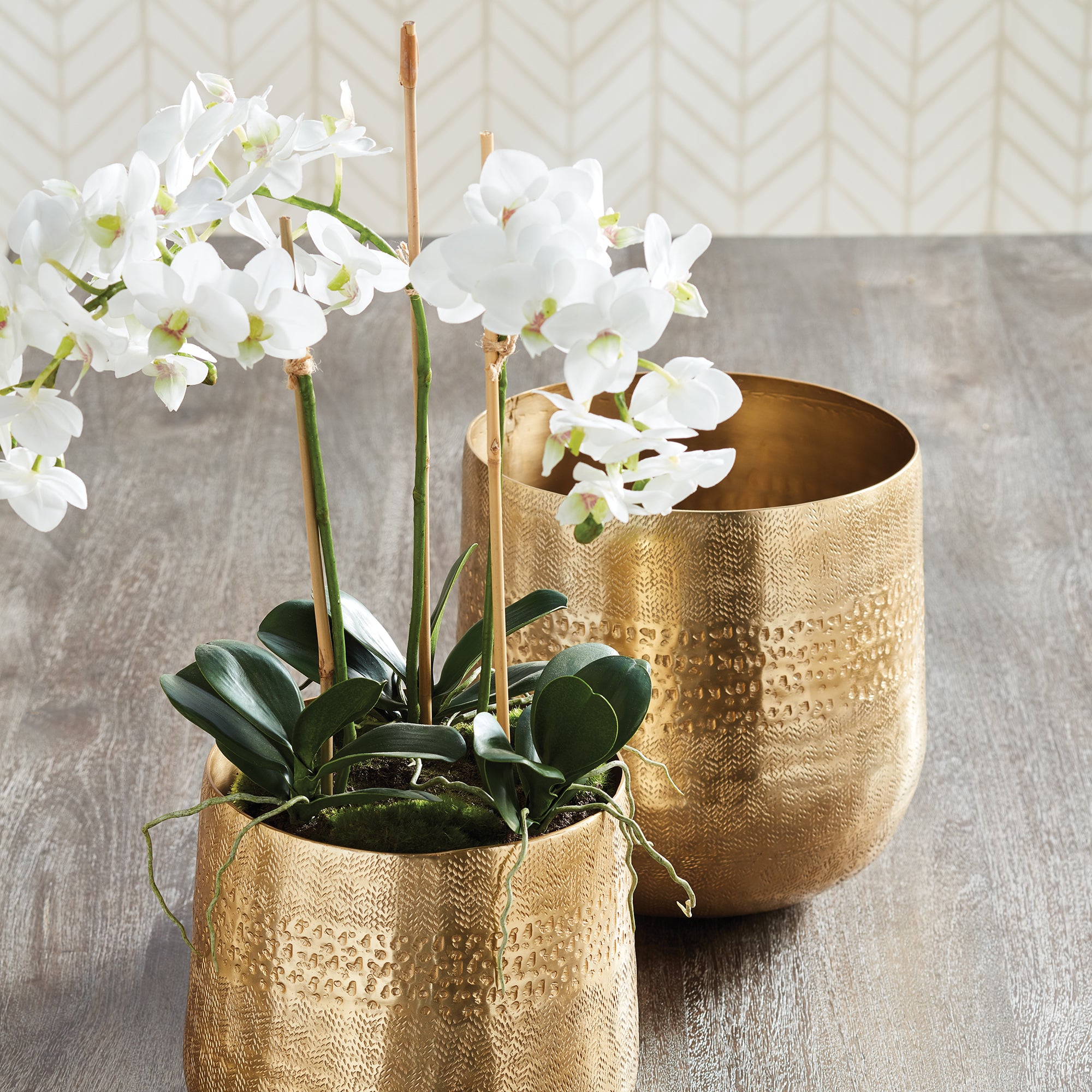PHALAENOPSIS ORCHID MINI GARDEN DROP-IN 16" - view 2