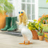 Fashion Icon Accessory Set For Giddy The Porch Goose by Evergreen