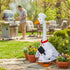 Chef For Giddy The Porch Goose by Evergreen