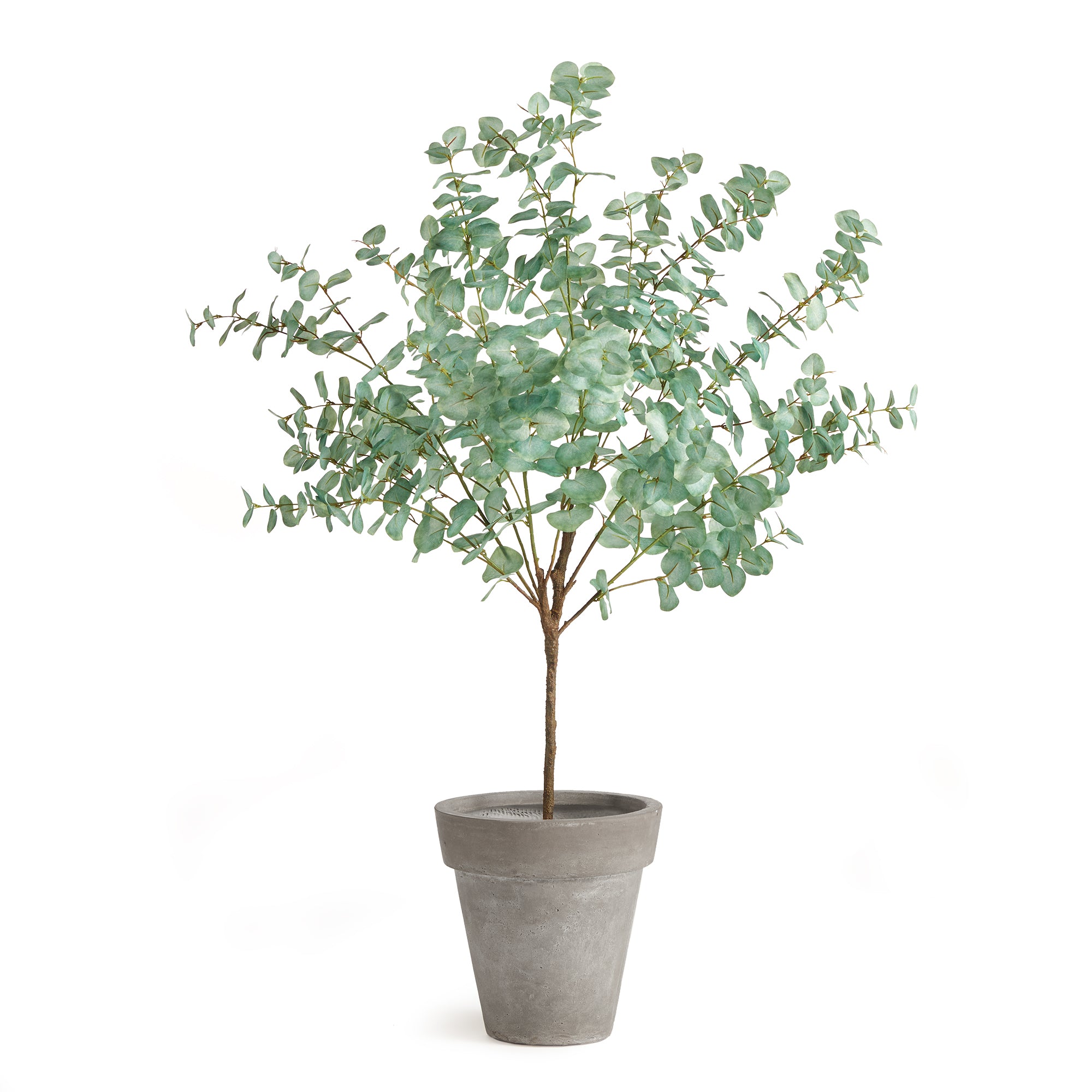 Eucalyptus Tree Drop-In 49" - View 2