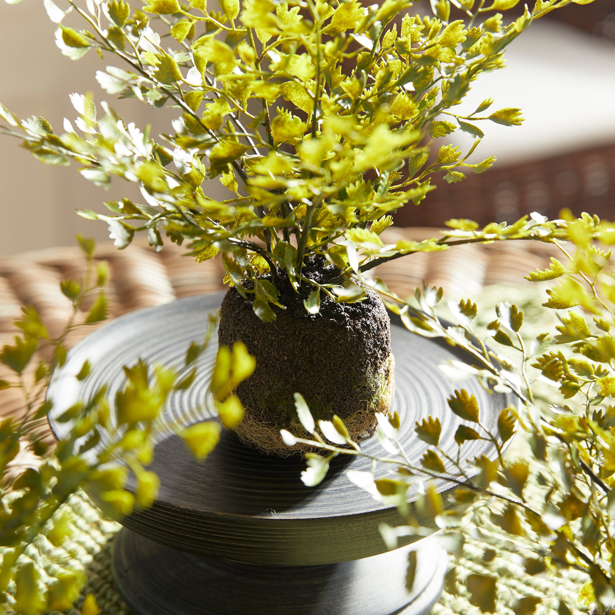 Maidenhair Drop-Ins, Set Of 3 - View 3