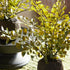 Maidenhair Drop-Ins, Set Of 3 - View 4