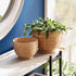 CANE RATTAN DECORATIVE FOOTED BOWLS, SET OF 2 - view 2