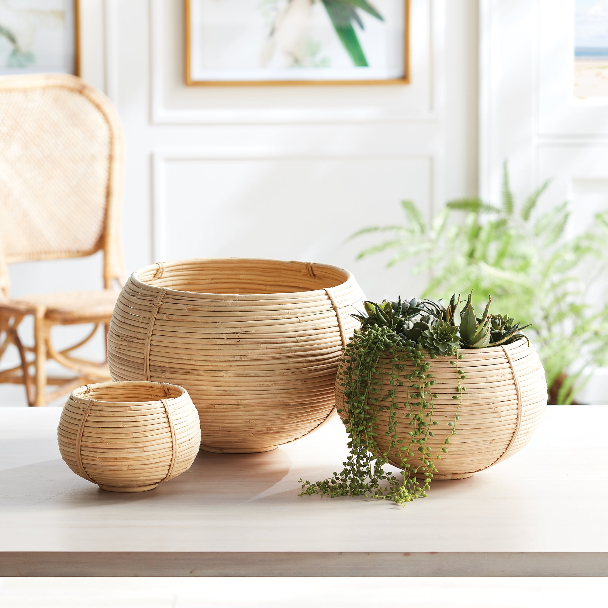 CANE RATTAN PLANT BASKETS, SET OF 3 - view 2
