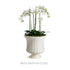 COLETTA GRANDE FLARED VASE - view 3
