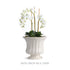 Coletta Petite Flared Vase - View 6