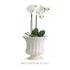 COLETTA PETITE FLARED VASE - view 4