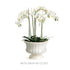 COLETTA DECORATIVE FOOTED BOWL - view 4
